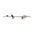 2Thirty-CH2 with honeycomb BLACK frame + BLACK rod + BLACK swivel + BRONZE ring / 40° + 12° / dimmable (TRIAC)2x 1000LM 2700K CRI90 IP50