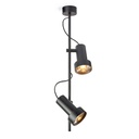 2Thirty-CV2 BLACK frame + BLACK rod + BLACK swivel + BLACK ring / 12° + 12° / dimmable (TRIAC)2x 1000LM 2700K CRI90 IP50