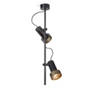 2Thirty-CV2 BLACK frame + BLACK rod + BLACK swivel + BRONZE ring / 12° + 12° / dimmable (TRIAC)2x 1000LM 2700K CRI90 IP50
