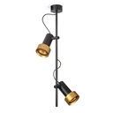 2Thirty-CV2 with honeycomb BLACK frame + BLACK rod + BLACK swivel + BRONZE ring / 40° + 12° / dimmable (TRIAC)2x 1000LM 2700K CRI90 IP50