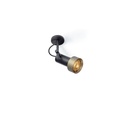 2Thirty-W1 in 350mA BLACK frame + BLACK rod + BLACK swivel + GOLD ring / 24° / Driver excl.1241LM 2700K CRI97 IP50