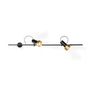 2Thirty-WH2 BLACK frame + BLACK rod + BLACK swivel + GOLD ring / 24° + 12° / dimmable (TRIAC)2x 1000LM 2700K CRI90 IP50