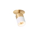 Audette-Duo in BLACK frame + BLACK swivel + BLACK body + BRASS ring / 3000K / 40° / Driver excl. / False ceiling633LM 2700K CRI95 IP50