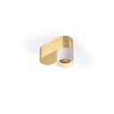 Audy-Duo 1 up Rounded GUNMETAL base + BRASS ring / 3000K / 23° / Driver incl. / dimmable (TRIAC/IGBT)  487LM 2700K CRI95 IP50