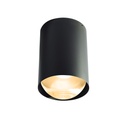 Bily 16 in GOLD + GOLD LEDholder / WW / Driver excl. / Concrete ceiling1125LM 2700K CRI97 IP50