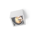 R110 in Rimless CHROME ring + WHITE int. / Transf. excl. / Bulb excl.      IP20