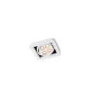 R51 in LED WHITE ring + CHROME frame + WHITE int. / WW - 40° / Driver excl. 456LM 2700K CRI93 IP40