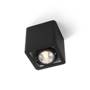 R51 in LED Rimless BLACK ring + BLACK int. / WW - 10° / Driver excl.       IP20