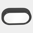 Basic Oval