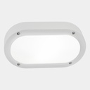 Basic Oval