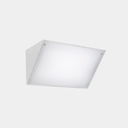 Curie PC 260mm