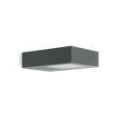Trend Flat U&D 125 LED  3K 11W Antrac.