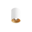 SOLID CEILING SURF 1.0 PAR16 W-G