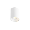 SOLID CEILING SURF 1.0 PAR16 W-W
