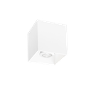 BOX CEILING SURF 1.0 PAR16 W