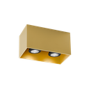 BOX CEILING SURF 2.0 PAR16 G