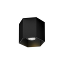 HEXO CEILING SURF 1.0 PAR16 B