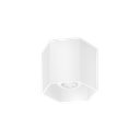HEXO CEILING SURF 1.0 PAR16 W