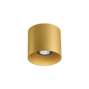 RAY CEILING SURF 1.0 PAR16 G