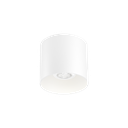 RAY CEILING SURF 1.0 PAR16 W