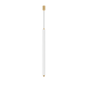 FLYRA CEILING SUSP 1.2 VERTICAL LED 2700K M