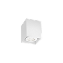 BOX MINI CEILING SURF 1.0 PAR16 W