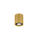 RAY MINI CEILING SURF 1.0 PAR16 G