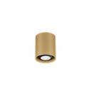 RAY MINI CEILING SURF 1.0 PAR16 M