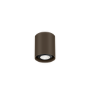 RAY MINI CEILING SURF 1.0 PAR16 Q