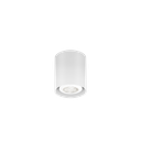RAY MINI CEILING SURF 1.0 PAR16 W