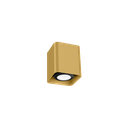 DOCUS MINI CEILING SURF 1.0 PAR16 G