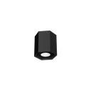 HEXO MINI CEILING SURF 1.0 PAR16 B
