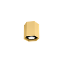 HEXO MINI CEILING SURF 1.0 PAR16 G