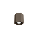 HEXO MINI CEILING SURF 1.0 PAR16 Q