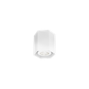 HEXO MINI CEILING SURF 1.0 PAR16 W