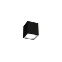TRAIN OUTDOOR CEILING SURF 1.0 LED 3000K B