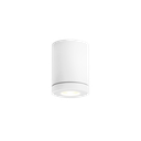 TUBE OUTDOOR CEILING SURF 1.0 PAR16 W