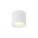 RAY OUTDOOR CEILING SURF 1.0 LED 3000K W