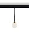 George D12 AT Suspension 927 Dim 1-10V